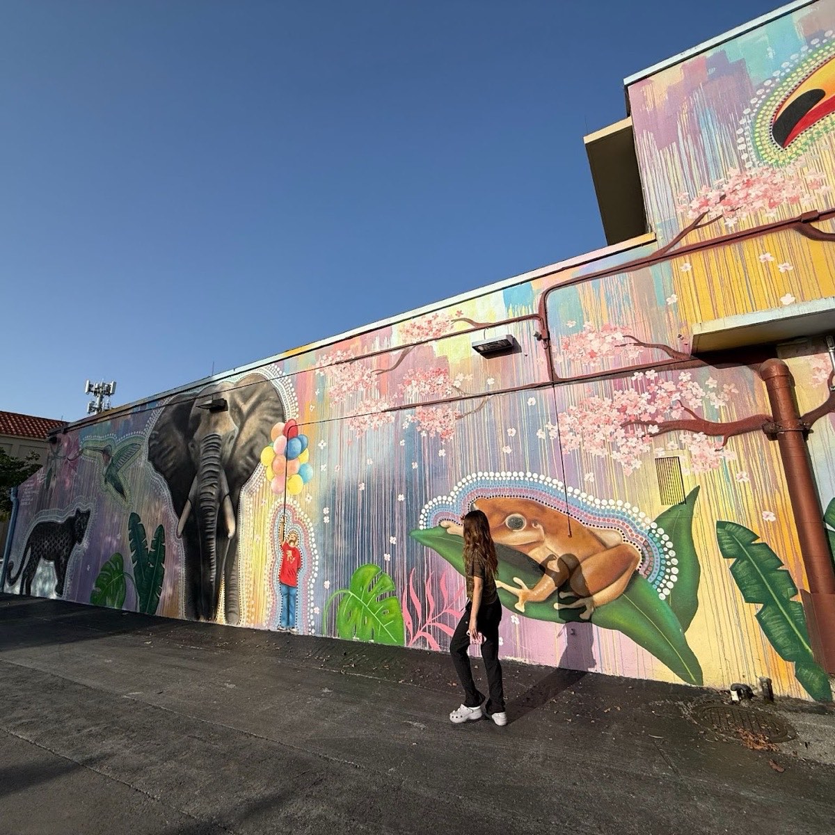 The Koubek Center in Little Havana, Miami — home of Phase 2 of the fellowship