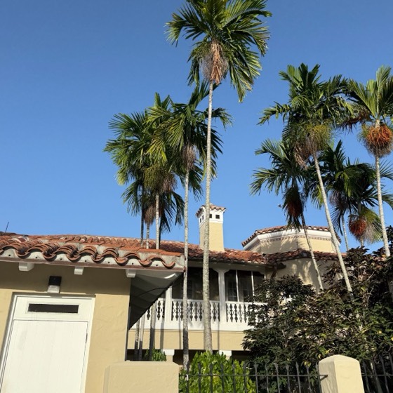 The Koubek Center in Miami
