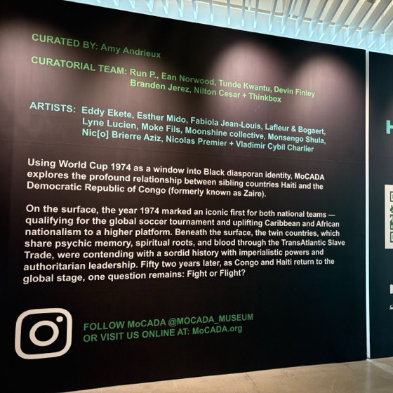 Artwork at the Museum of Contemporary African Diasporan Arts